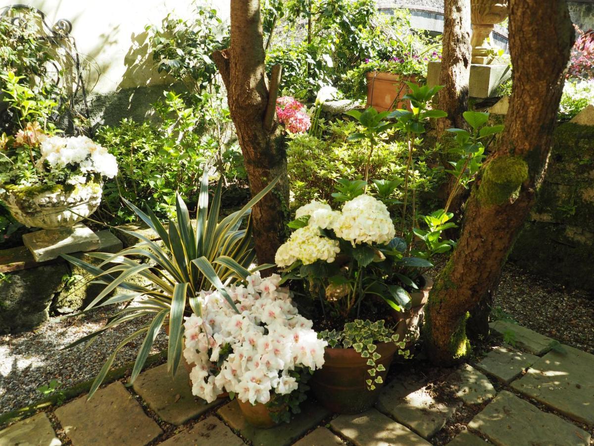 Casa Ella Bed & Breakfast Bagni di Lucca Eksteriør bilde